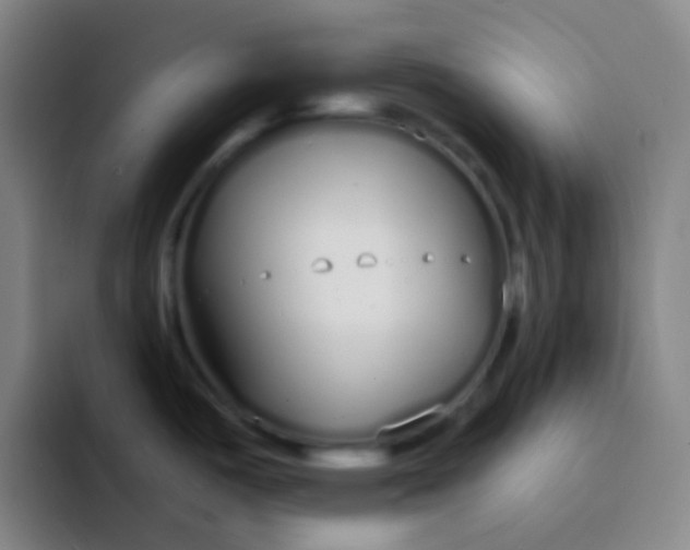 X0000094321487200711161919