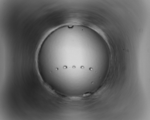 X0000094321488200711161919