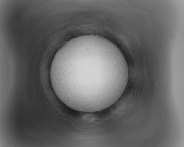 X0000094321489200711161919