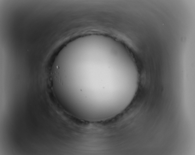 X0000094321496200711161919