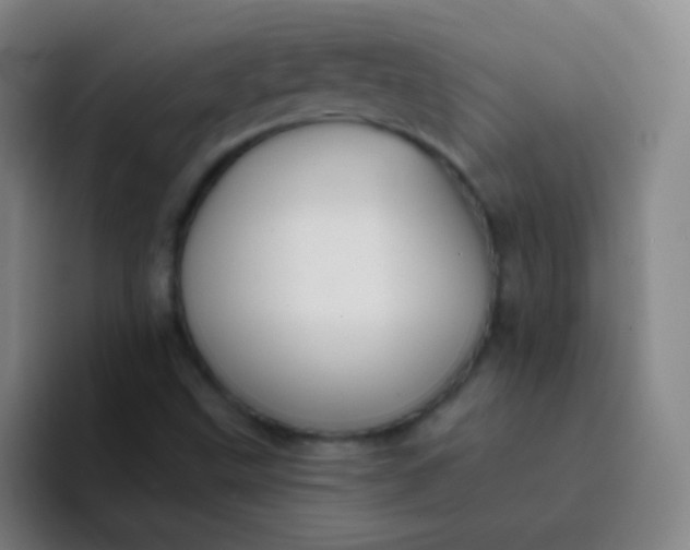X0000094321499200711161919