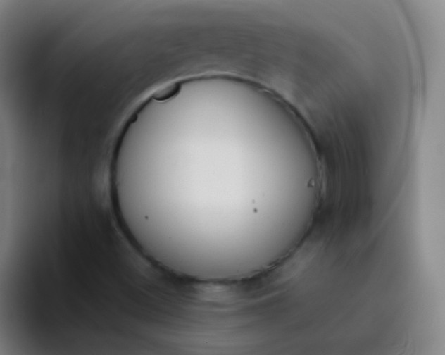 X0000094321500200711161919
