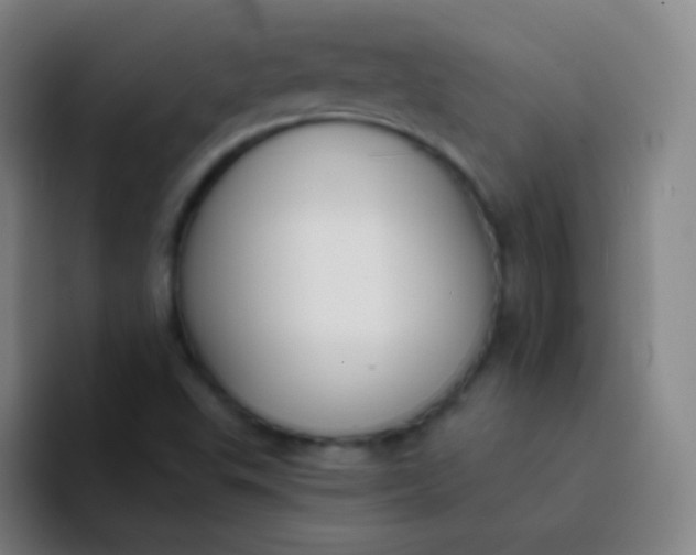 X0000094321503200711161919