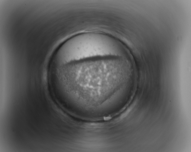 X0000094321506200711161919