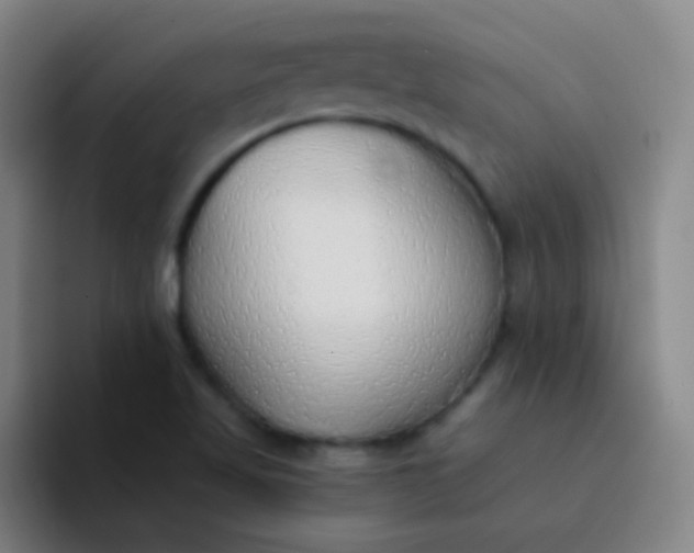 X0000094321509200711161919