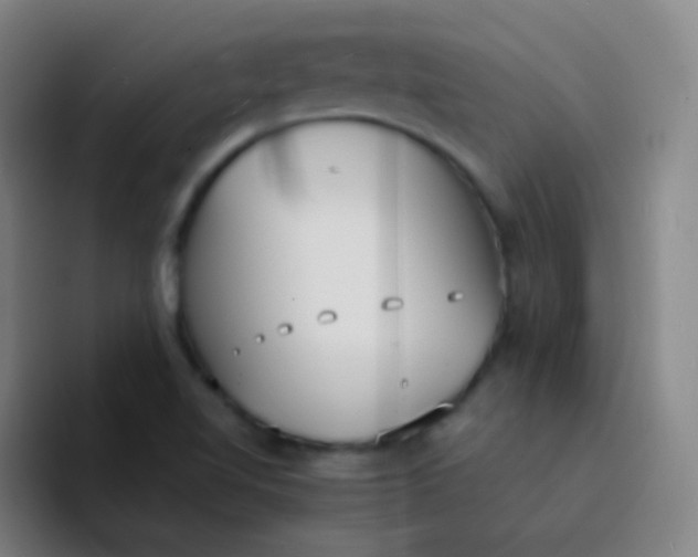 X0000094321510200711161919