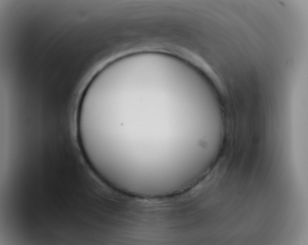 X0000094321512200711161919