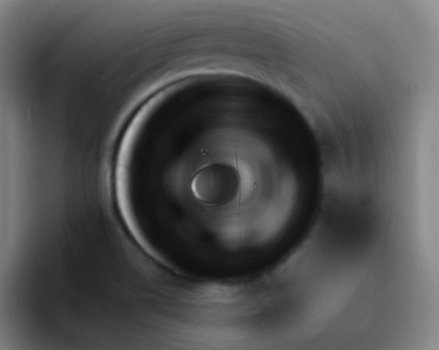 X0000094321514200711161919