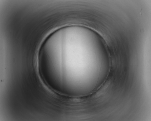 X0000094321515200711161919