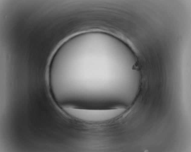 X0000094321516200711161919