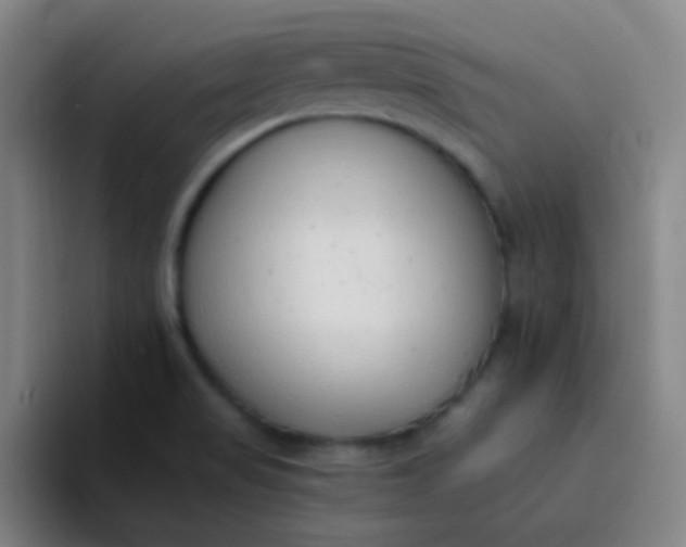 X0000094321517200711161919