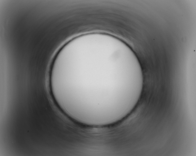 X0000094321518200711161919