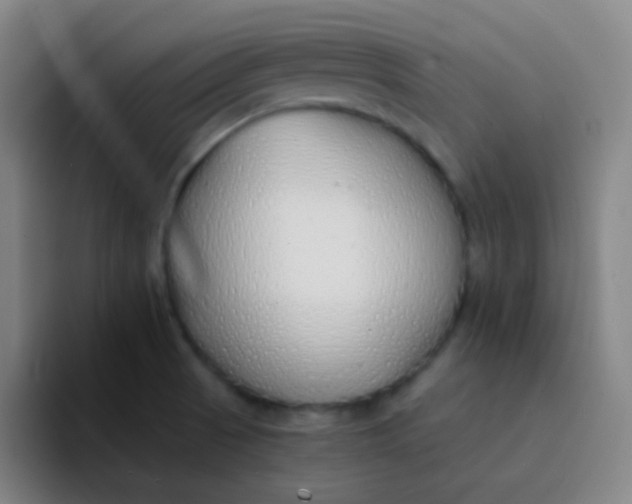 X0000094321521200711161919