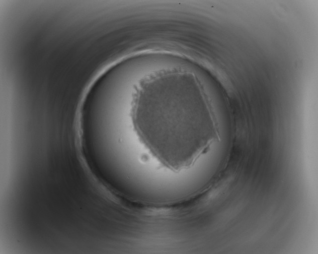 X0000094321522200711161919