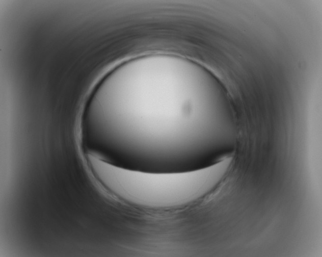 X0000094321523200711161919