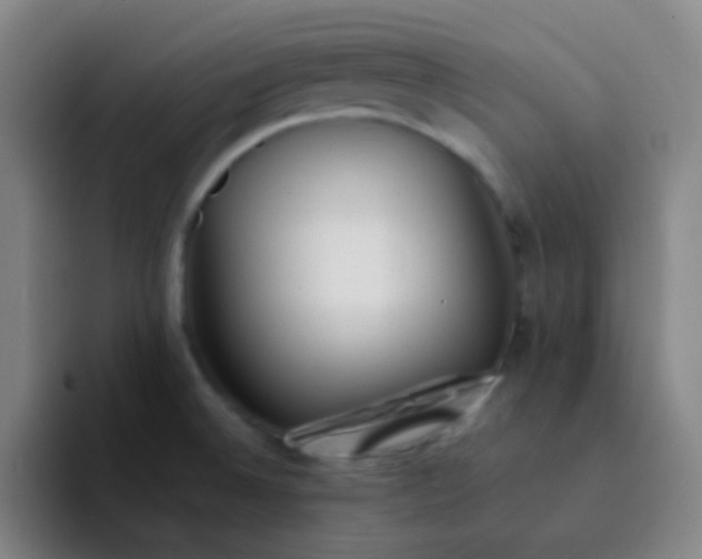 X0000094321524200711161919