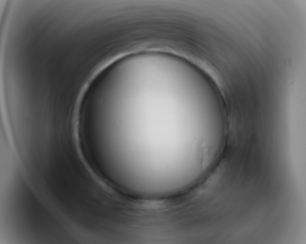 X0000094321525200711161919