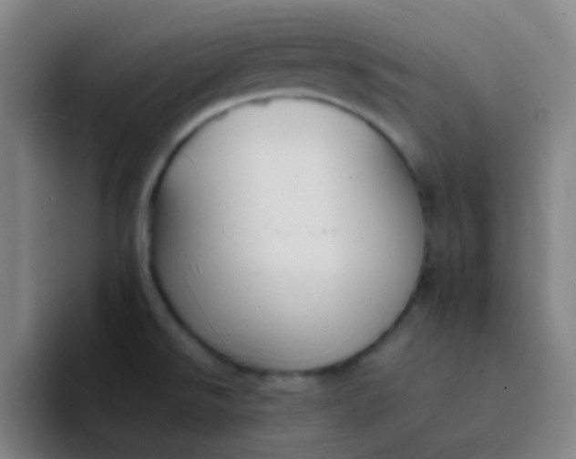 X0000094321526200711161919