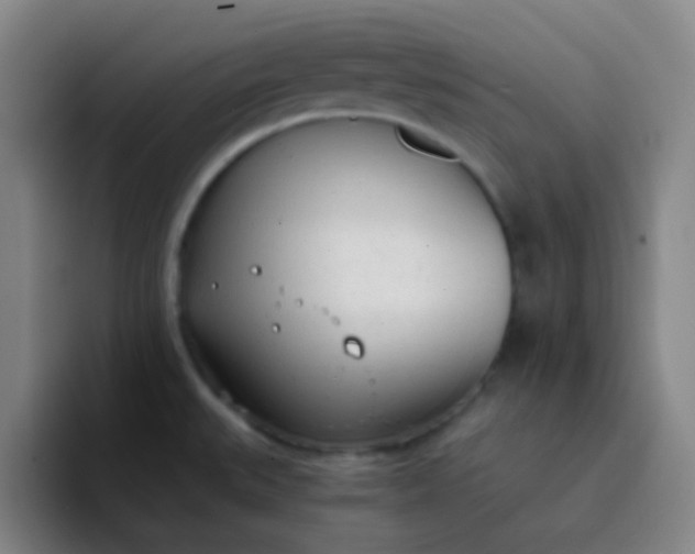 X0000094321527200711161919