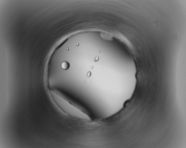 X0000094321528200711161919