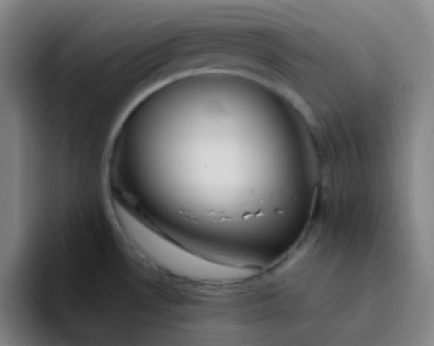 X0000094321530200711161919
