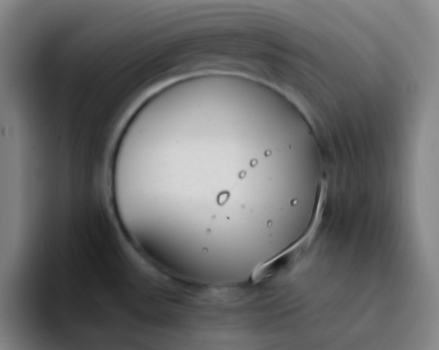 X0000094321531200711161919