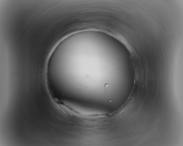 X0000094321532200711161919