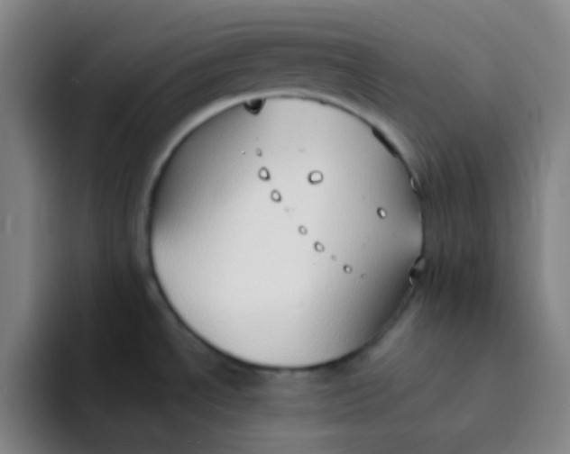 X0000094321534200711161919