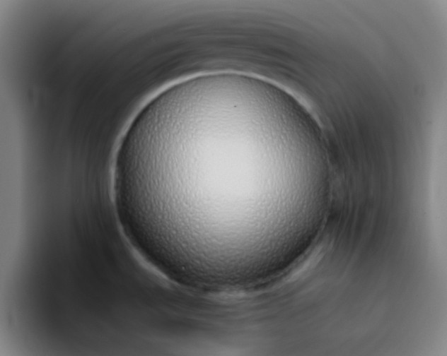 X0000094321535200711161919