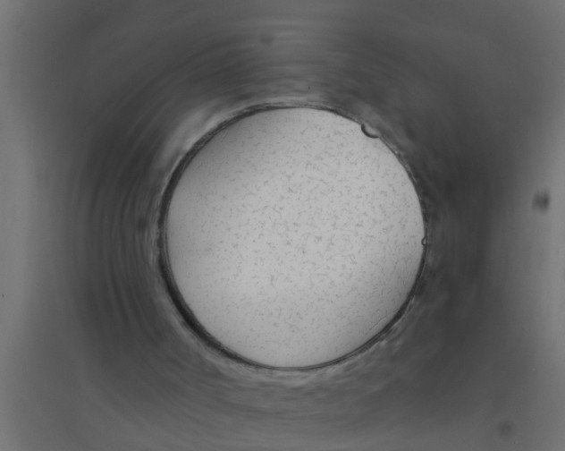 X0000094320002200711241817