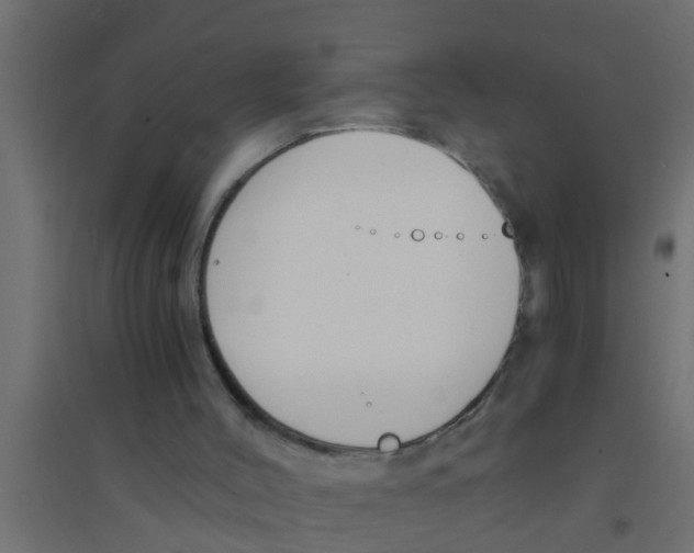 X0000094320004200711241817
