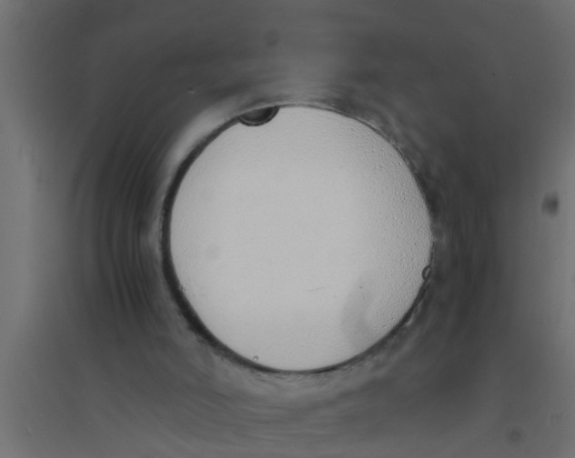 X0000094320006200711241817