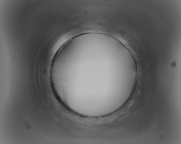 X0000094320007200711241817