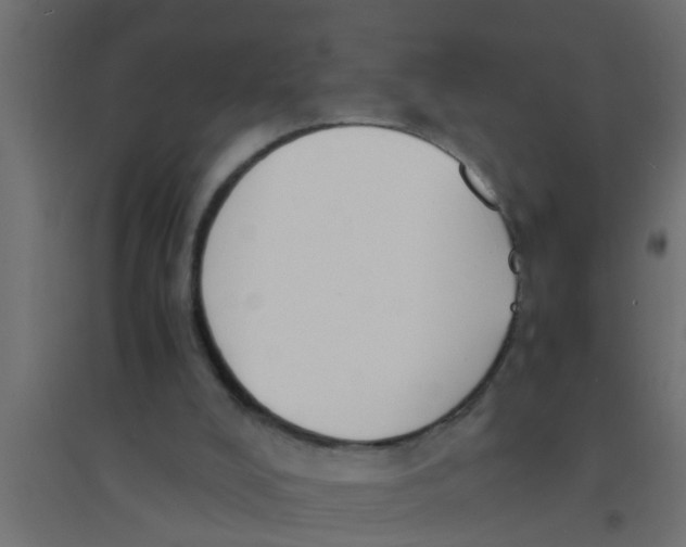 X0000094320008200711241817