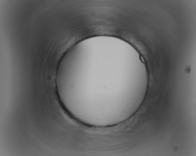 X0000094320009200711241817