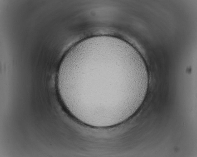 X0000094320010200711241817