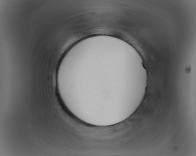X0000094320011200711241817