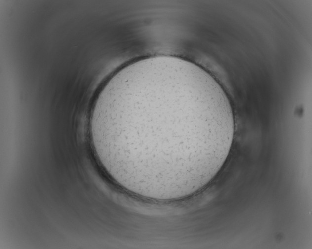X0000094320012200711241817