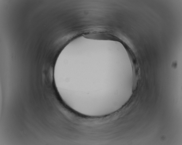 X0000094320013200711241817