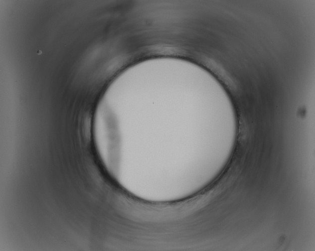 X0000094320014200711241817
