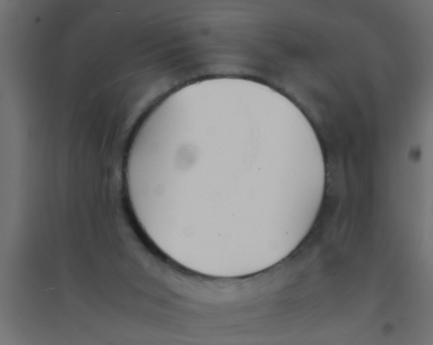 X0000094320015200711241817
