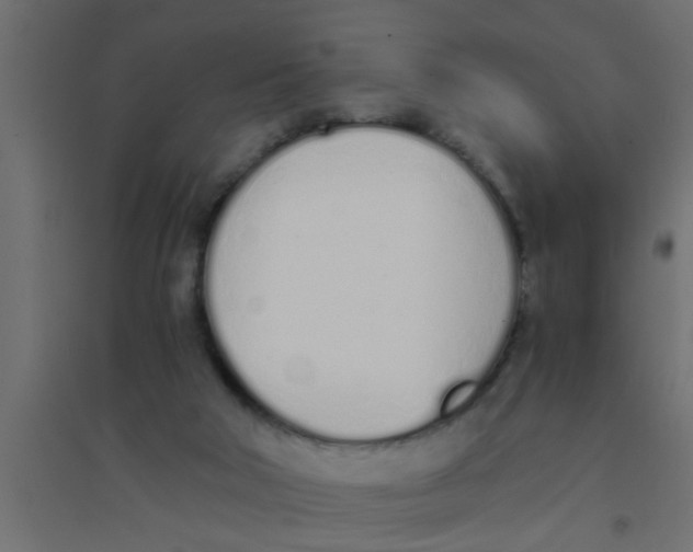 X0000094320018200711241817