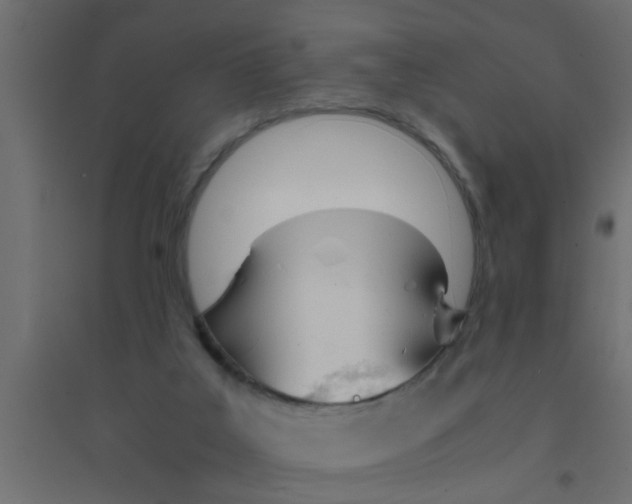 X0000094320019200711241817