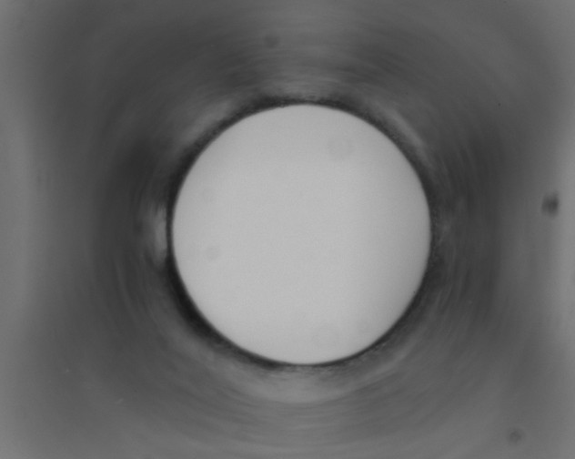 X0000094320020200711241817