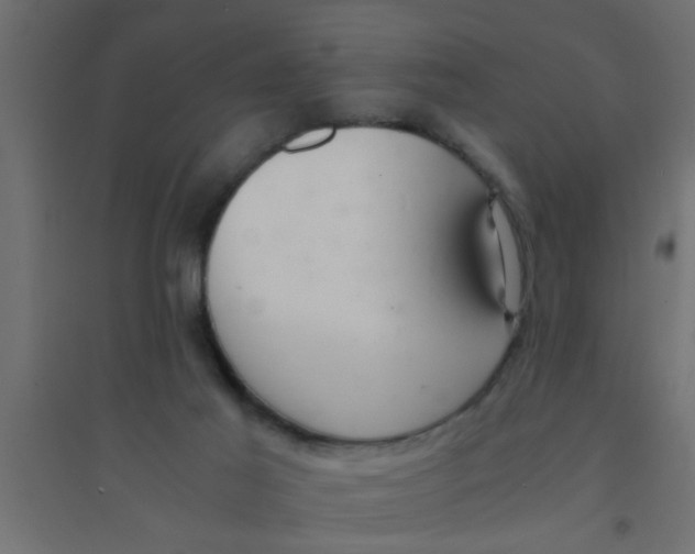 X0000094320021200711241817