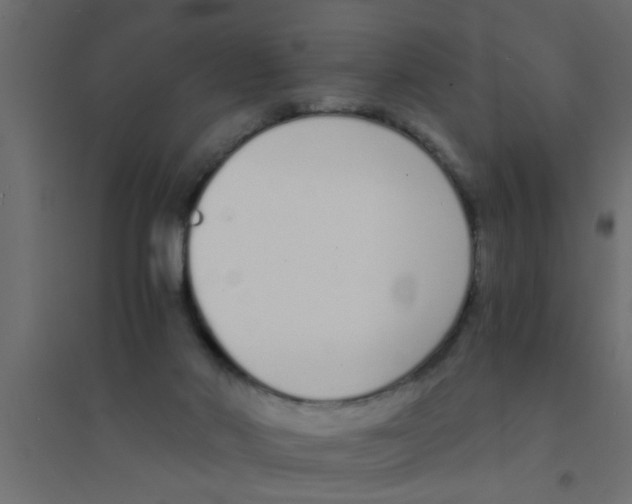 X0000094320022200711241817