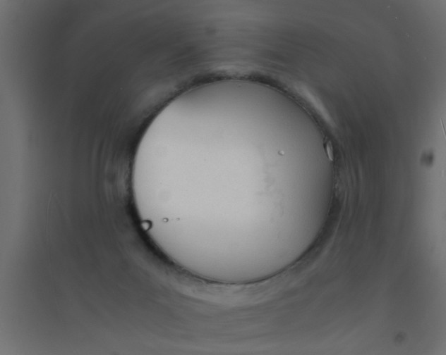X0000094320023200711241817