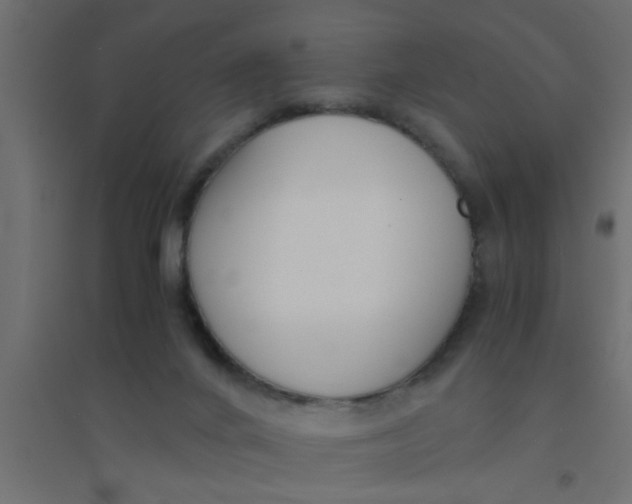 X0000094320024200711241817