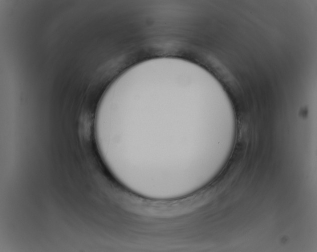 X0000094320026200711241817