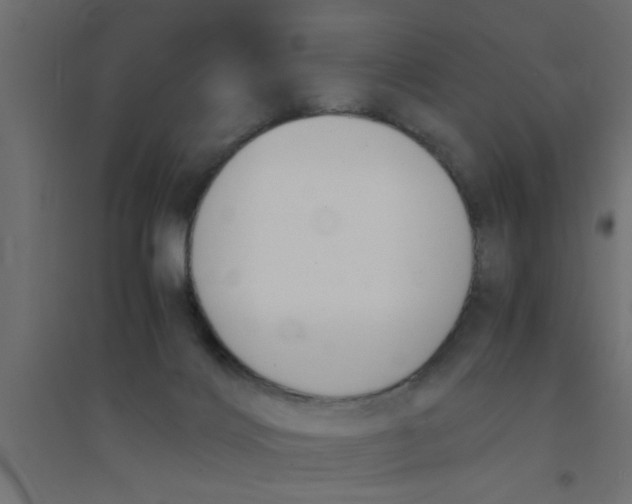 X0000094320028200711241817